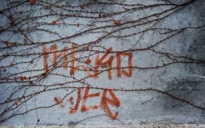 ¿Por qué es importante tener un nombre de dominio para mi sitio web?