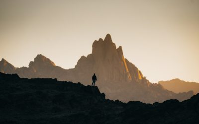 La Importancia del Hosting: Cómo Afecta la Experiencia del Usuario