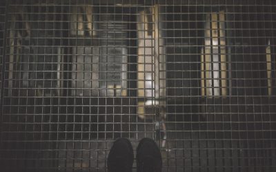 Desafíos de Escalabilidad: Cómo NVMe Hosting puede optimizar el rendimiento en entornos de alto tráfico