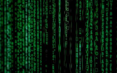 Maestría en Contenidos: Guía Completa para la Gestión de Contenidos Digitales con la Guía Definitiva