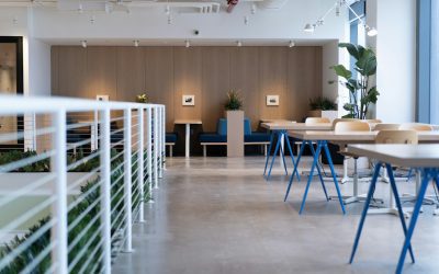 Mejorando en una empresa multinivel: Aprovechando el feedback de los clientes