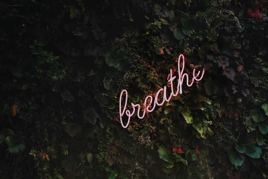 Consejos de meditación y mindfulness para una vida plena.