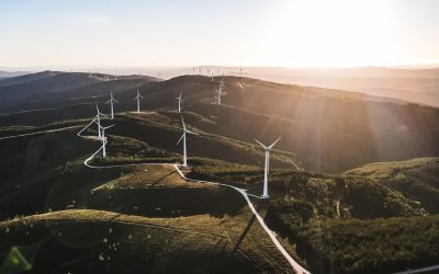 Negocio en línea de energías renovables: una oportunidad sostenible.