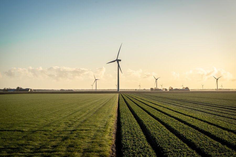 Negocio en línea de energías renovables: una oportunidad sostenible.