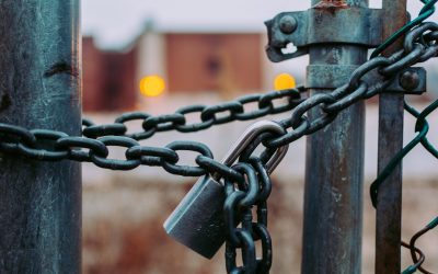 Proteja su negocio online con seguridad web.