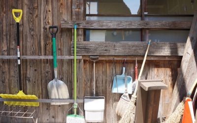 Consejos de jardinería y paisajismo: Transforma tu espacio exterior.