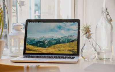 Negocio en línea de servicios: ¡Emprende con éxito!