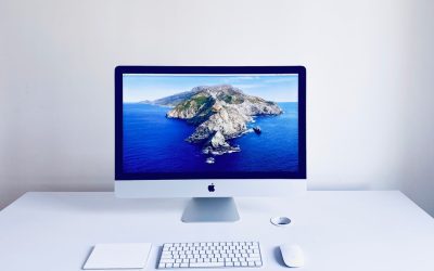 Marketing digital para principiantes: Guía básica.