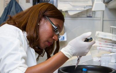 Descubre la importancia de la investigación de mercado