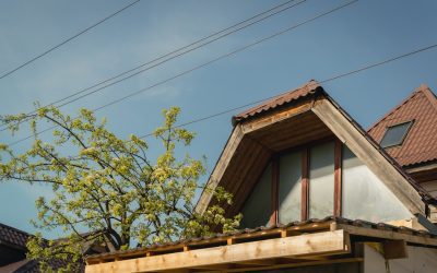 ¿Cómo impacta la renovación automática de dominios en la continuidad del negocio?
