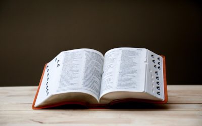 Fomentando la curiosidad y el aprendizaje continuo