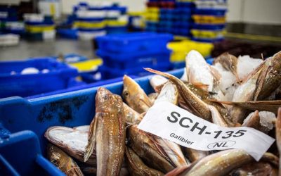 ¿Qué estrategias existen para la compra y venta de dominios en el mercado secundario?