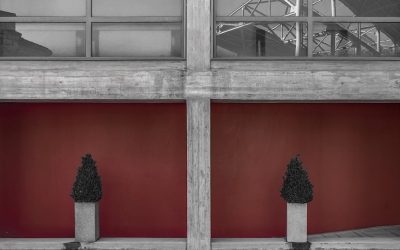 Desarrollando habilidades de liderazgo en un negocio multinivel
